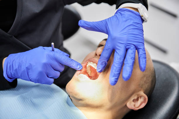 Best Emergency X-Rays and Diagnostics in Middletown, CA