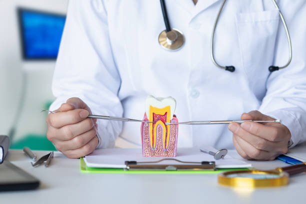 Best Walk-In Emergency Dental Services in Middletown, CA